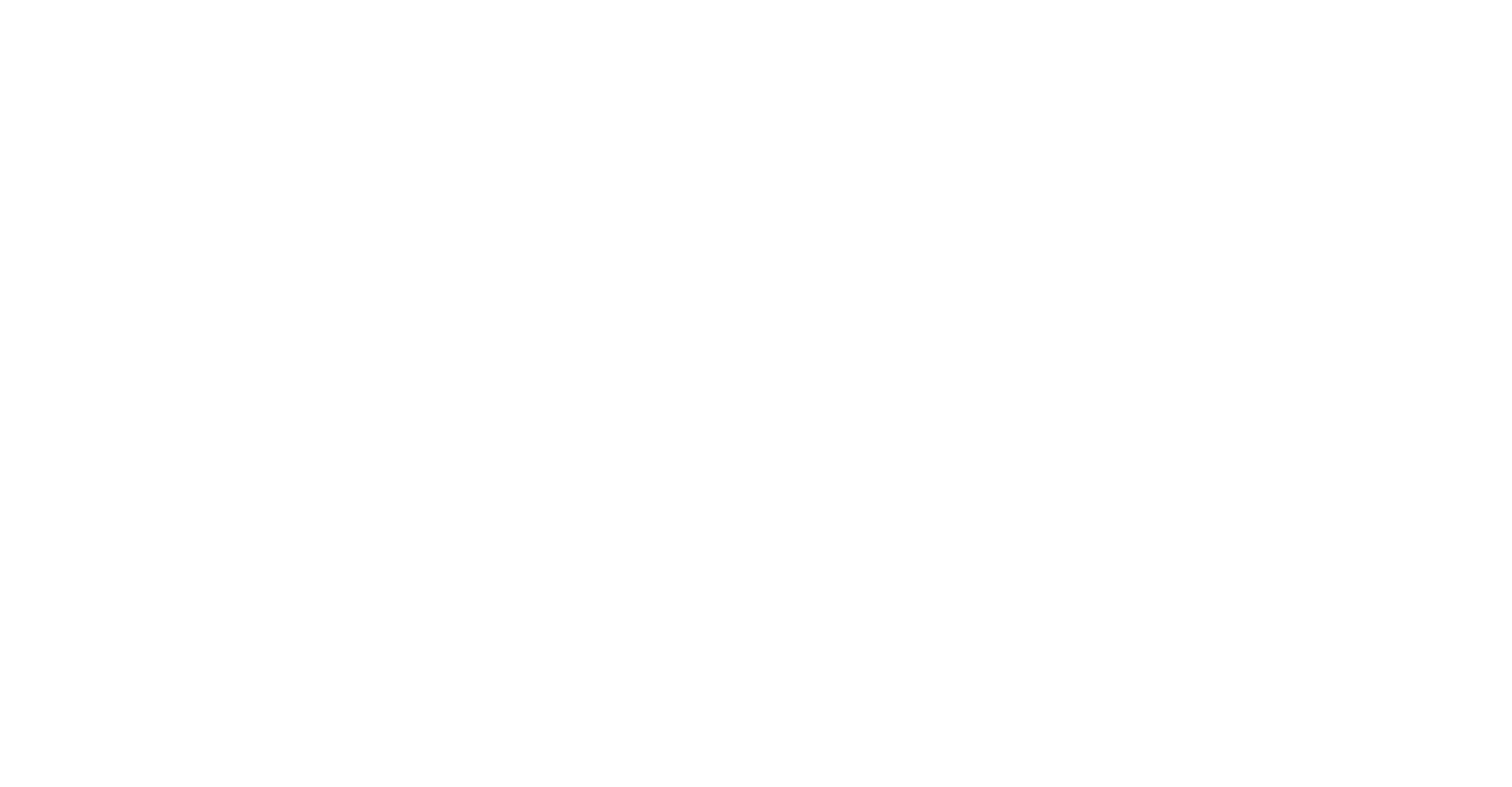 Business Mindset Revolution weiss